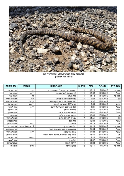 קובץ:Tazpi(2).pdf