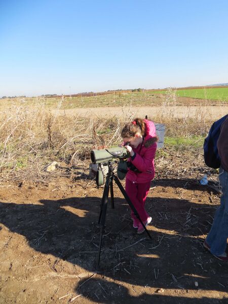 קובץ:IMG 3115.JPG