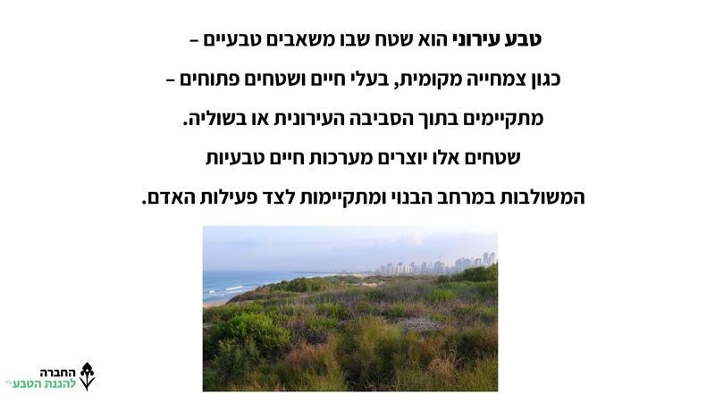 קובץ:מצגת מלווה - מערך סקר טבע עירוני.pdf