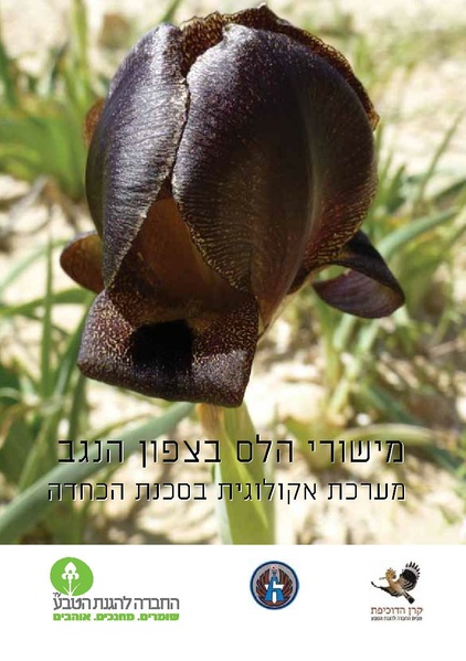 קובץ:Aka.pdf