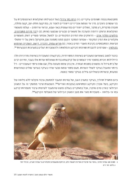 קובץ:Aka.pdf