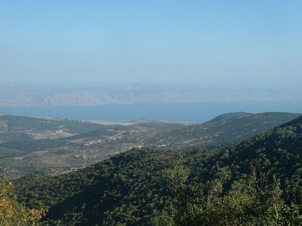 תמונת רקע לדף לקט רעיונות לפעילות בתצפית