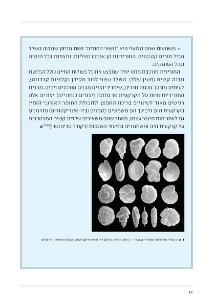 קובץ:Soft substrate habitat 2016 new.pdf