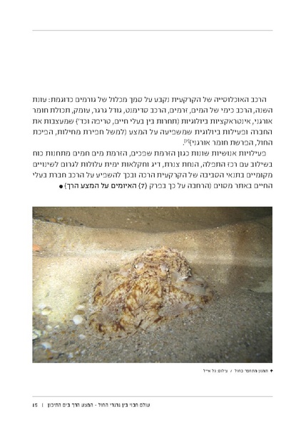 קובץ:Soft substrate habitat 2016 new.pdf