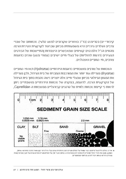 קובץ:Soft substrate habitat 2016 new.pdf