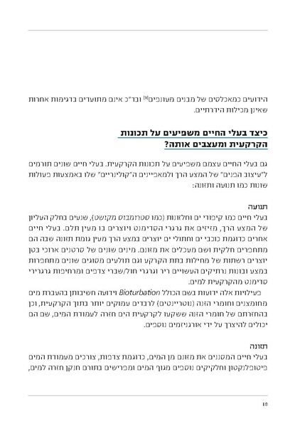 קובץ:Soft substrate habitat 2016 new.pdf