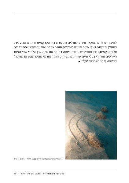 קובץ:Soft substrate habitat 2016 new.pdf