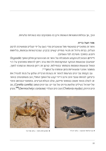 קובץ:Soft substrate habitat 2016 new.pdf