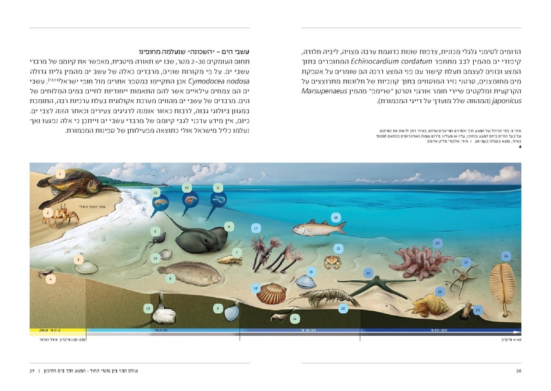 קובץ:Soft substrate habitat 2016 new.pdf