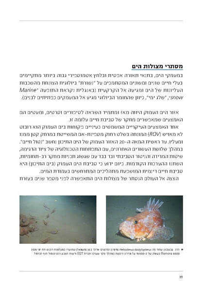 קובץ:Soft substrate habitat 2016 new.pdf