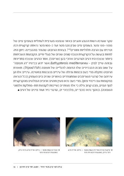 קובץ:Soft substrate habitat 2016 new.pdf