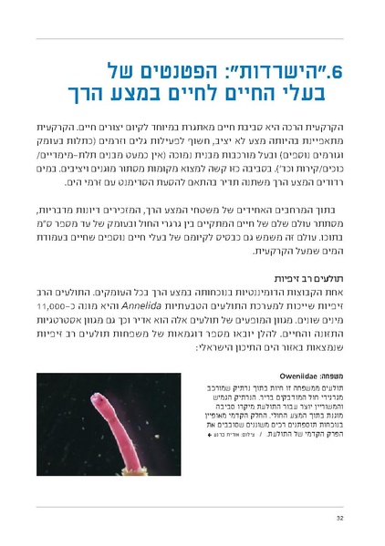 קובץ:Soft substrate habitat 2016 new.pdf