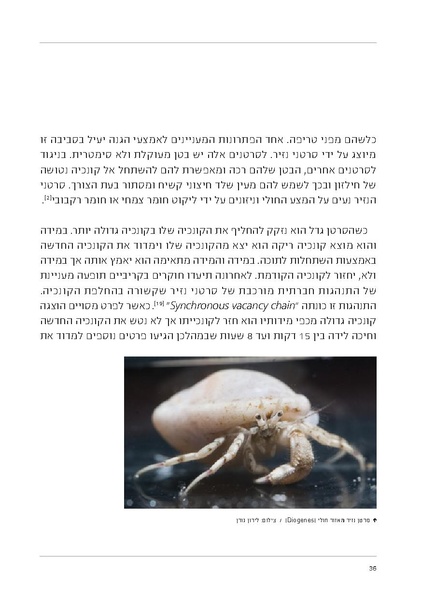 קובץ:Soft substrate habitat 2016 new.pdf