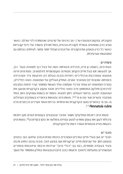 קובץ:Soft substrate habitat 2016 new.pdf