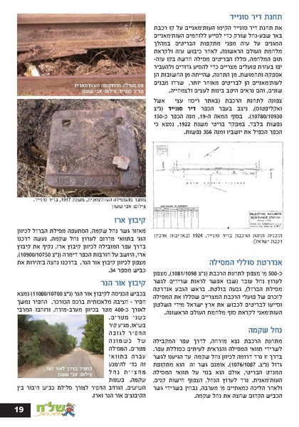 קובץ:Ale 12.pdf
