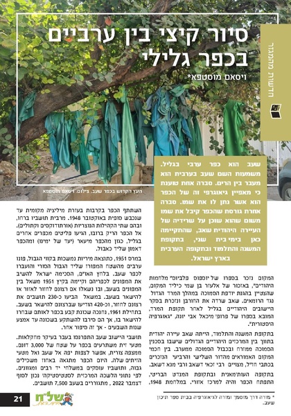 קובץ:Ale 12.pdf