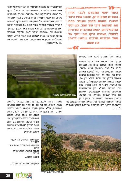 קובץ:Ale 12.pdf