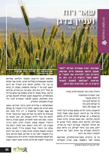 קובץ:Ale 12.pdf