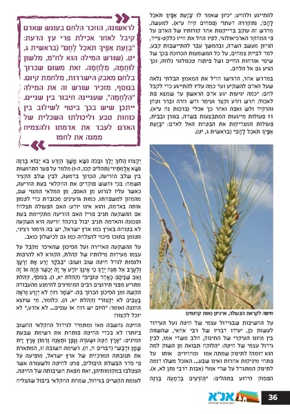 קובץ:Ale 12.pdf
