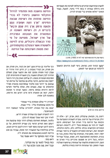 קובץ:Ale 12.pdf