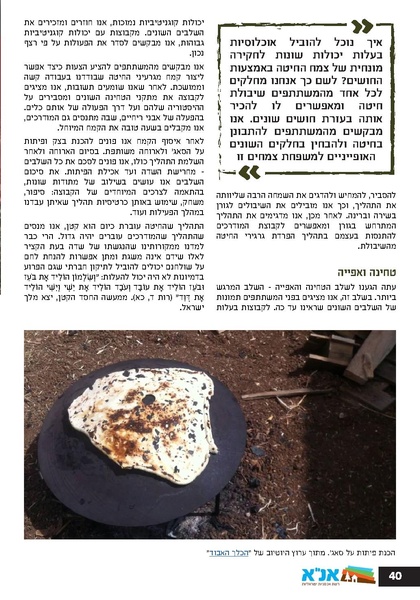קובץ:Ale 12.pdf