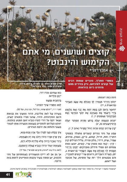 קובץ:Ale 12.pdf