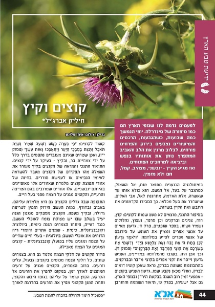 קובץ:Ale 12.pdf