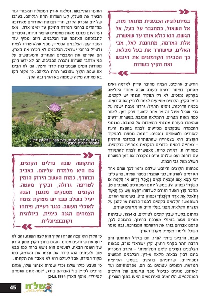 קובץ:Ale 12.pdf