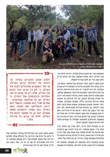 קובץ:Ale 12.pdf