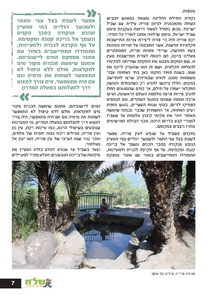 קובץ:Ale 12.pdf