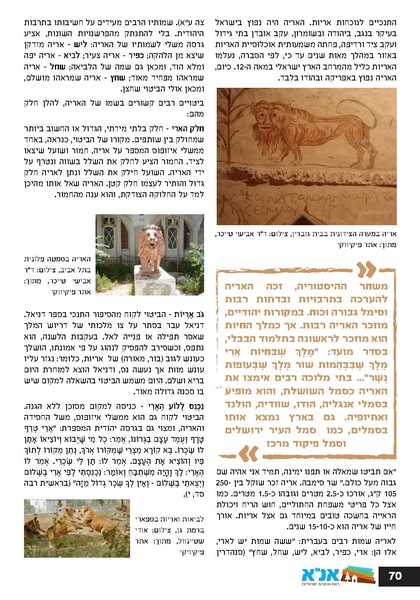 קובץ:Ale 12.pdf