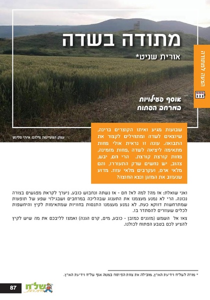 קובץ:Ale 12.pdf