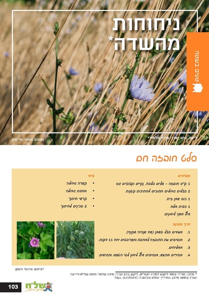 קובץ:גיליון עלה אביב - אפריל 2023 ניסןתשפג.pdf