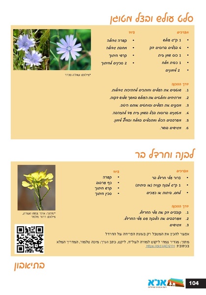 קובץ:גיליון עלה אביב - אפריל 2023 ניסןתשפג.pdf