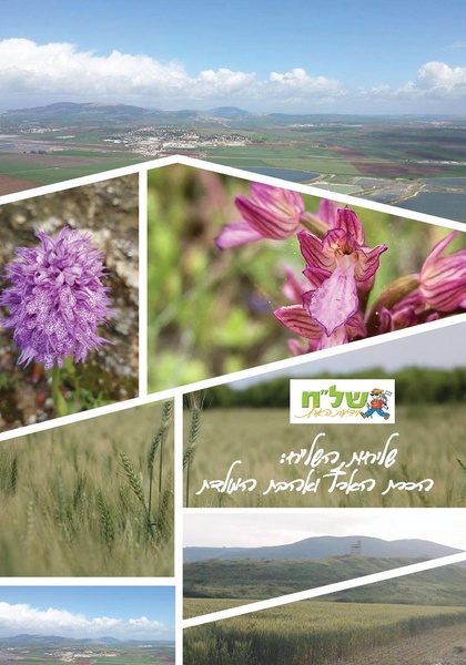 קובץ:גיליון עלה אביב - אפריל 2023 ניסןתשפג.pdf