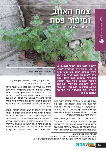 קובץ:גיליון עלה אביב - אפריל 2023 ניסןתשפג.pdf