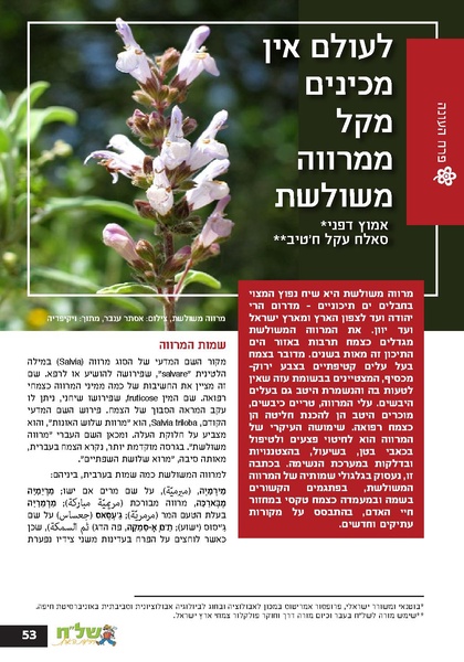 קובץ:גיליון עלה אביב - אפריל 2023 ניסןתשפג.pdf