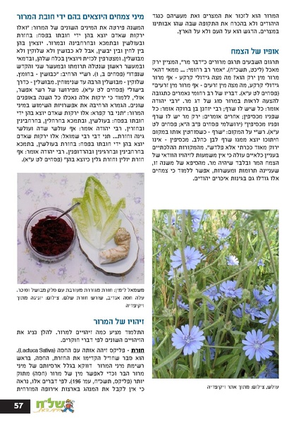 קובץ:גיליון עלה אביב - אפריל 2023 ניסןתשפג.pdf