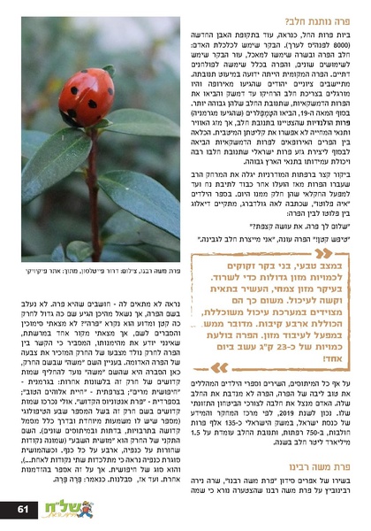 קובץ:גיליון עלה אביב - אפריל 2023 ניסןתשפג.pdf