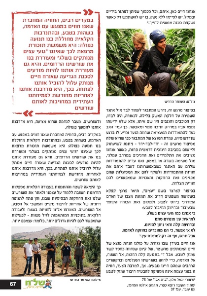 קובץ:גיליון עלה אביב - אפריל 2023 ניסןתשפג.pdf