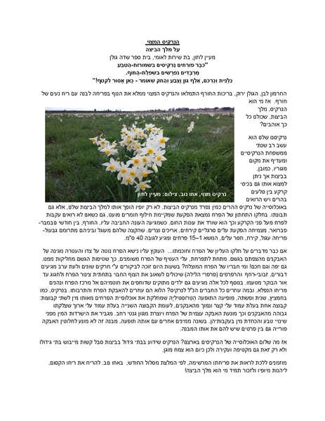 קובץ:Narkis.pdf