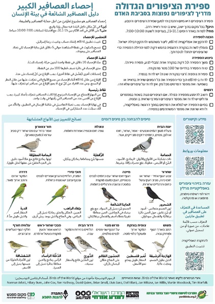 קובץ:מדריך לציפורים נפוצות בסביבת האדם - ספירת הציפורים הגדולה.pdf