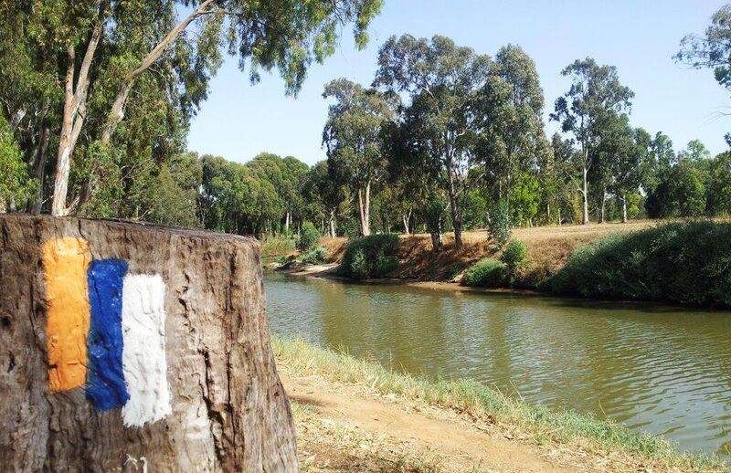 קובץ:Shvil israel yarkon dov.jpg