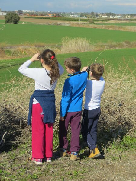 קובץ:IMG 3126.JPG