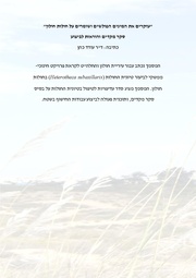 → לדף הקודם
