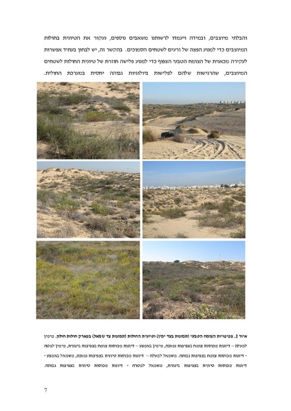 קובץ:Invasive.pdf