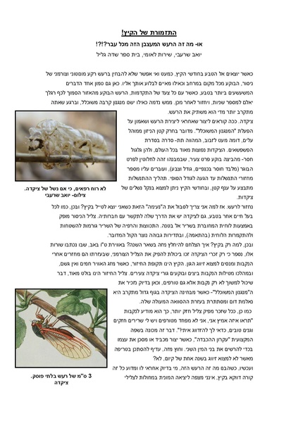 קובץ:Zikada.pdf