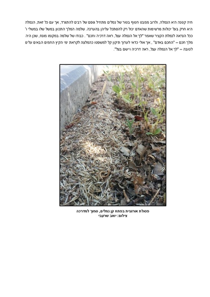 קובץ:Nemala(1).pdf