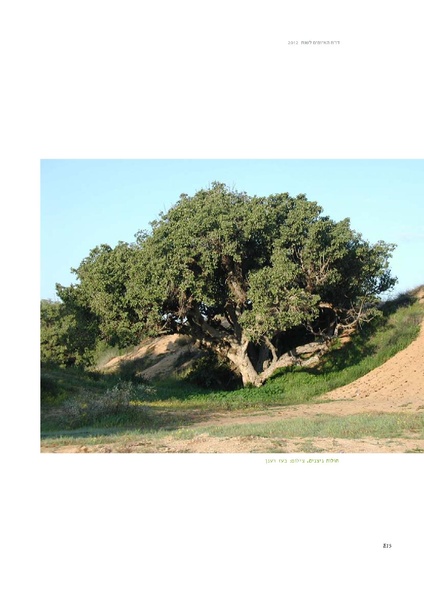 קובץ:Threats2012SPNI.pdf