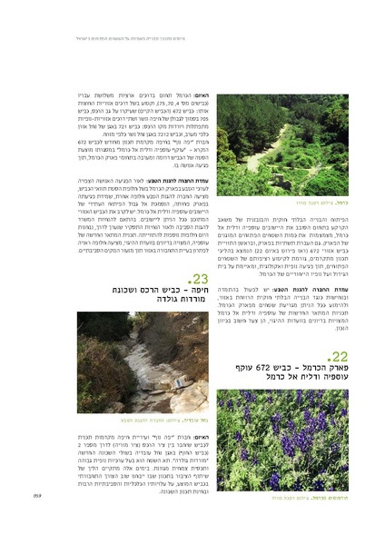 קובץ:Threats2012SPNI.pdf